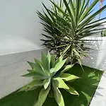 Daire Bristol Terrace Con Giardino Privato Esterno Corralejo