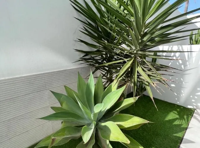 شقة Bristol Terrace Con Giardino Privato Esterno كوراليهو