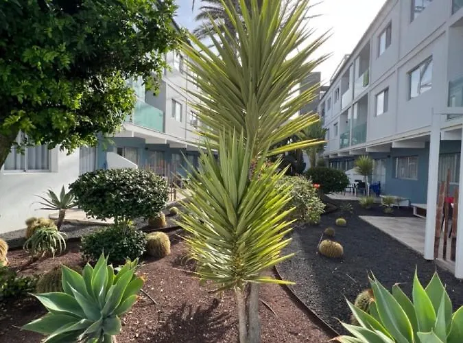 Bristol Terrace Con Giardino Privato Esterno Apartament Corralejo