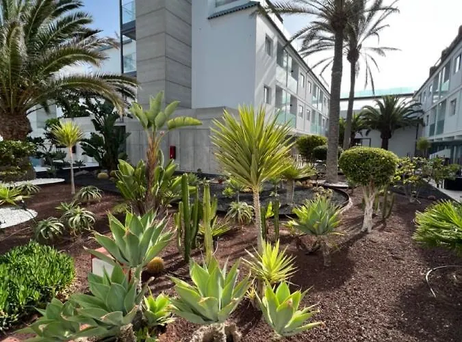 Bristol Terrace Con Giardino Privato Esterno *