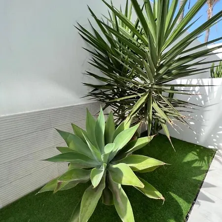 Apartamento Bristol Terrace Con Giardino Privato Esterno Corralejo